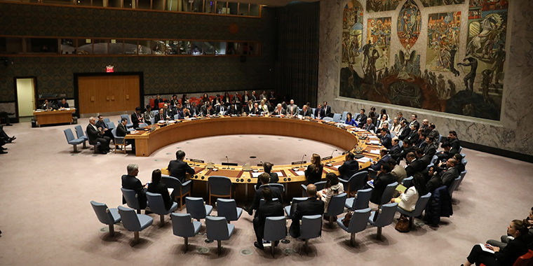 UNSC